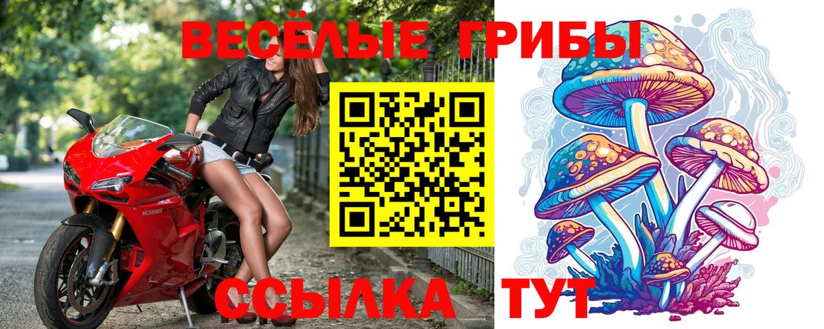 Псилоцибиновые грибы прущие грибы Сибай